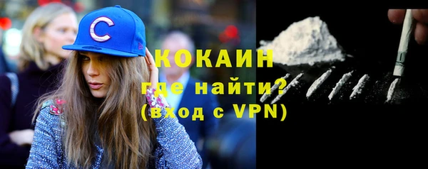 ПСИЛОЦИБИНОВЫЕ ГРИБЫ Абаза