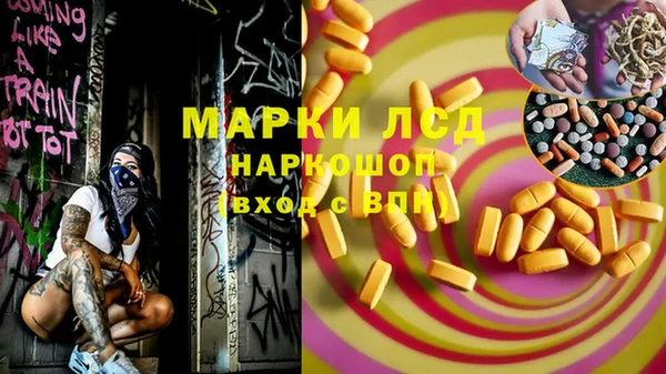ПСИЛОЦИБИНОВЫЕ ГРИБЫ Абаза