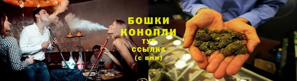 ПСИЛОЦИБИНОВЫЕ ГРИБЫ Абаза