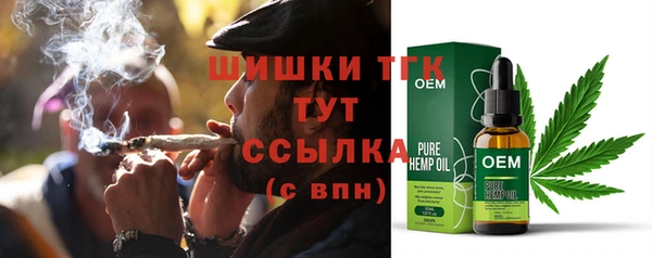 ПСИЛОЦИБИНОВЫЕ ГРИБЫ Абаза
