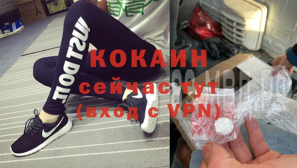 ПСИЛОЦИБИНОВЫЕ ГРИБЫ Абаза