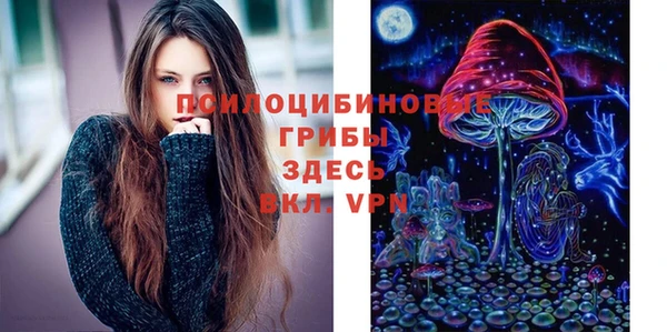 крисы Абинск