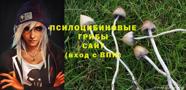 стаф Абдулино